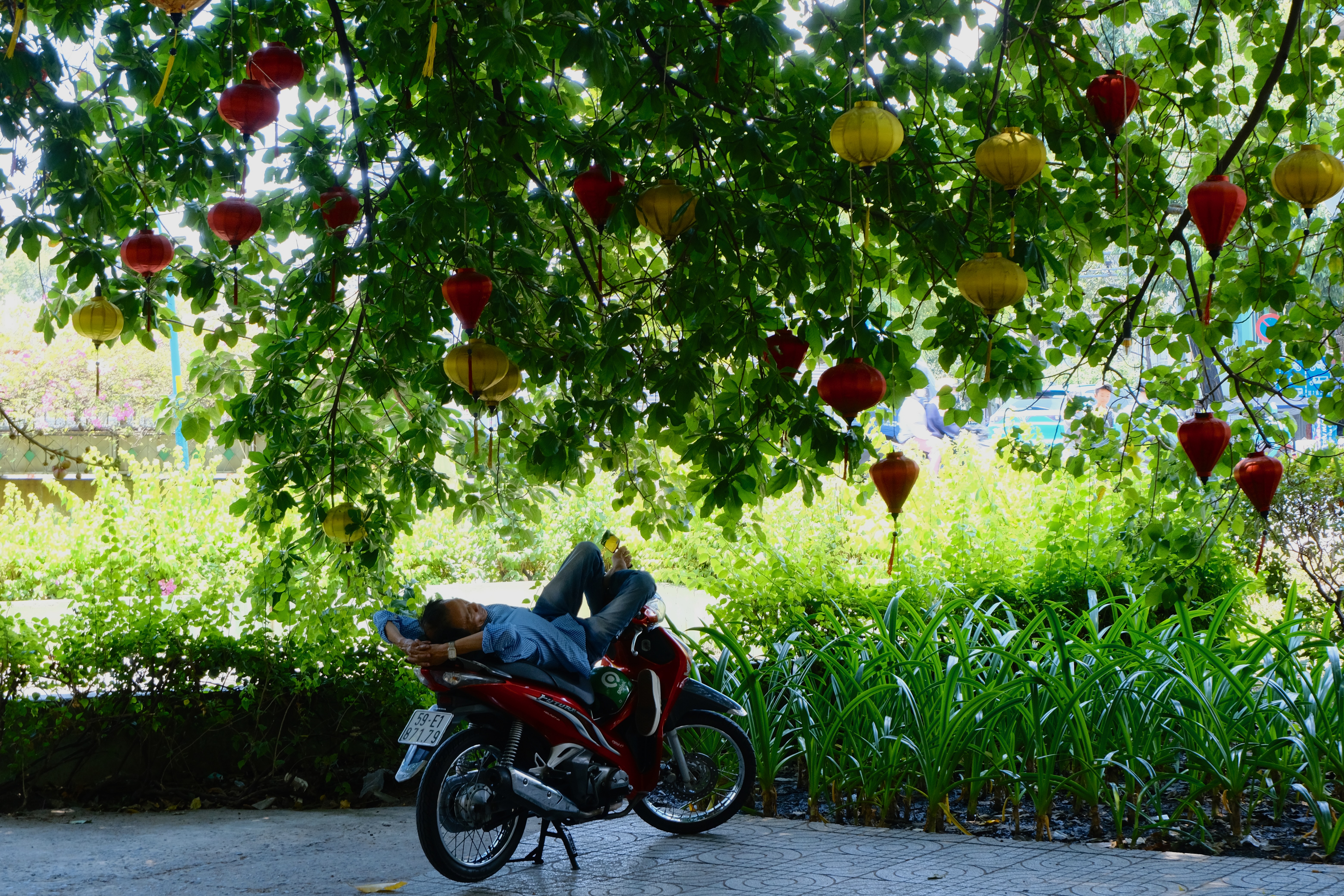 Naps in Vietnam